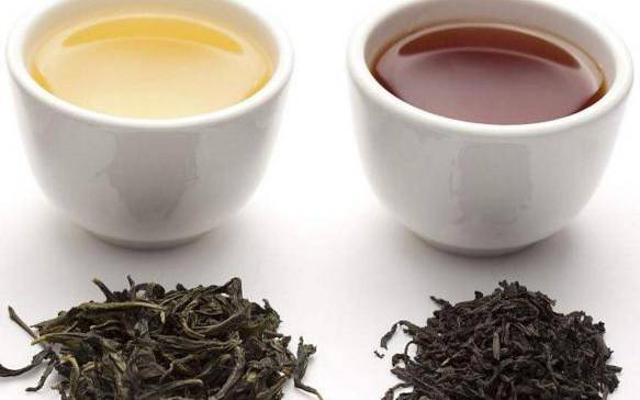 红茶和绿茶的功效与作用 红茶和绿茶的功效与作用