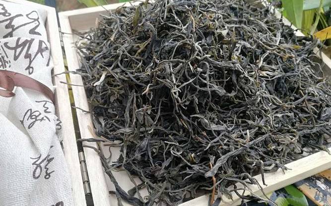 古树茶属于什么茶
