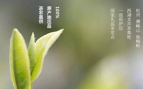 西湖龙井资讯平台 西湖龙井资讯平台