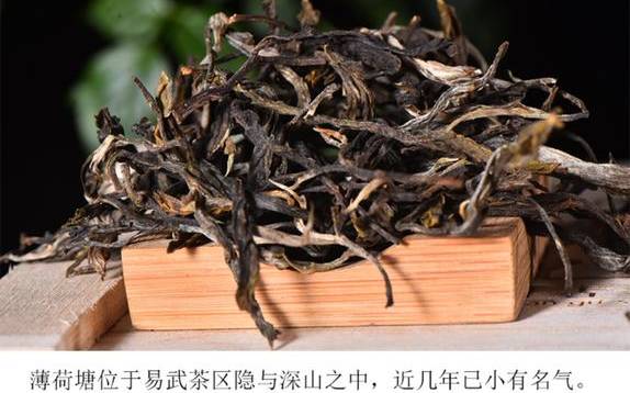 薄荷塘普洱茶特点简介 薄荷塘普洱茶特点简介