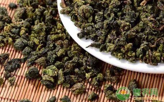 乌龙茶是凉性还是温性
