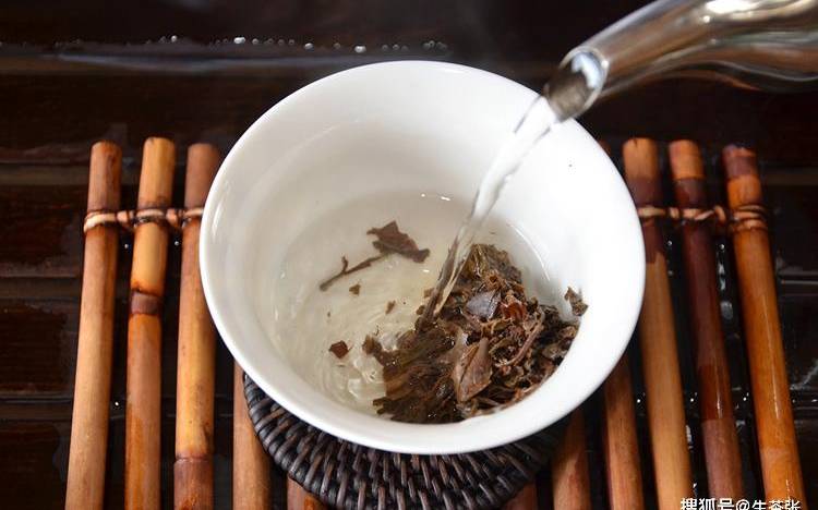 生普洱茶怎么泡才正确方法 生普洱茶怎么泡才正确方法