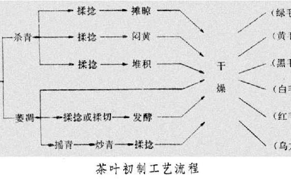 绿茶制作工艺步骤 绿茶制作工艺步骤