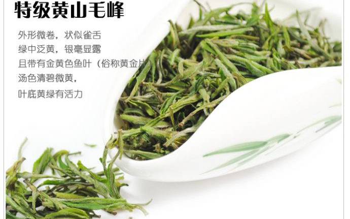 黄山毛峰属于什么茶 黄山毛峰属于什么茶