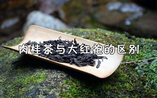 肉桂茶和大红袍哪个贵