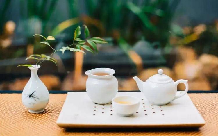 一茶一景一世界 一茶一景一世界