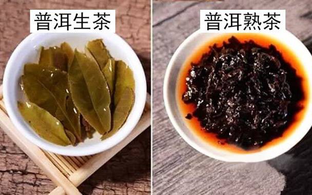 普洱属于什么茶类 普洱属于什么茶类