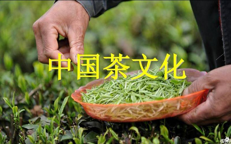 茶文化论文2000字 茶文化论文2000字