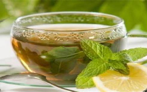 什么茶减肥效果最好