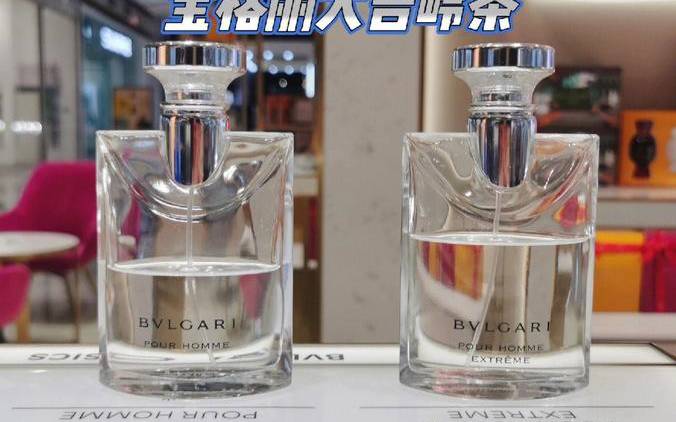 宝格丽大吉岭茶 宝格丽大吉岭茶