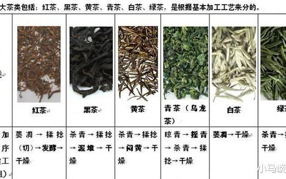 各种茶叶的功效与特点 各种茶叶的功效与特点