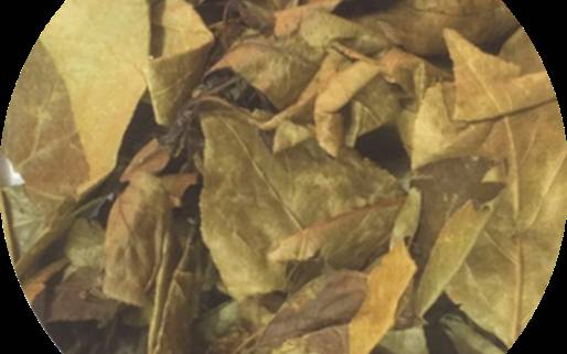 三皮罐茶叶的功效 三皮罐茶叶的功效