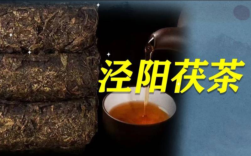 泾阳茯茶的功效 泾阳茯茶的功效