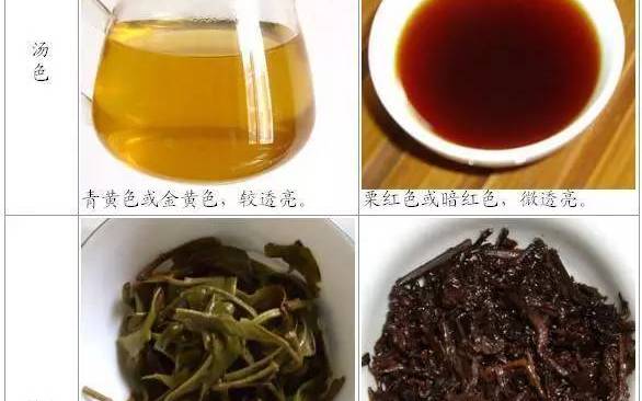 普洱茶的功效和喝法