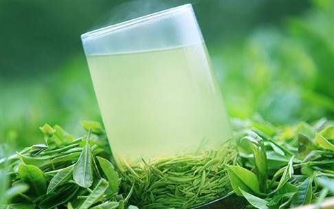 绿茶水敷脸的正确方法 绿茶水敷脸的正确方法