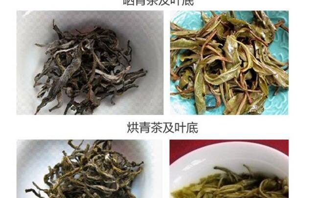 普洱茶属于什么类型的茶 普洱茶属于什么类型的茶