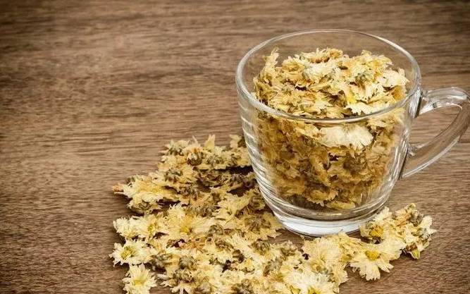 菊花茶的作用和功效 菊花茶的作用和功效