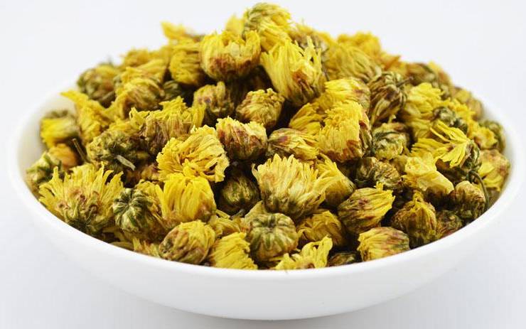 胎菊的功效与作用 胎菊的功效与作用