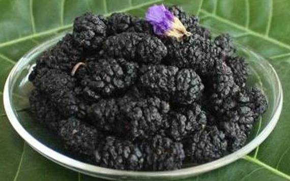 桑葚干用多少度的水泡最好