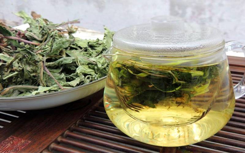 蒲公英茶对妇科好吗