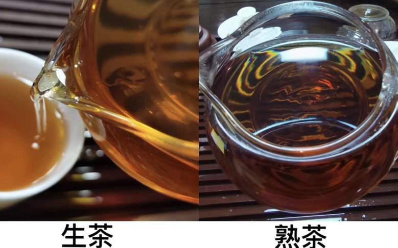 生茶和熟茶的区别功效
