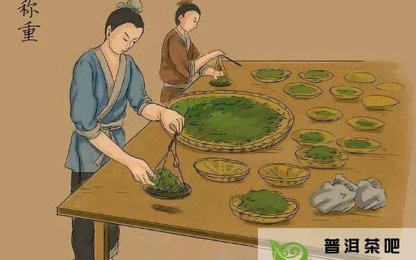 茶叶制作过程步骤