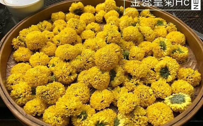 皇菊茶的功效与作用 皇菊茶的功效与作用