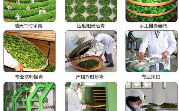 制茶的工艺流程 制茶的工艺流程
