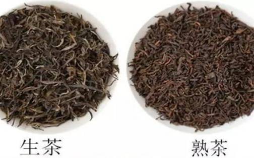 普洱熟茶和生茶区别 普洱熟茶和生茶区别