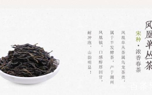 凤凰单枞茶最贵的香型
