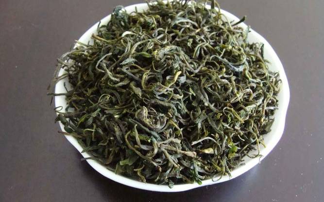 毛尖属于什么茶
