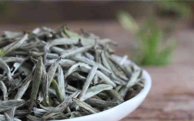 白毫银针茶多少钱一斤 白毫银针茶多少钱一斤