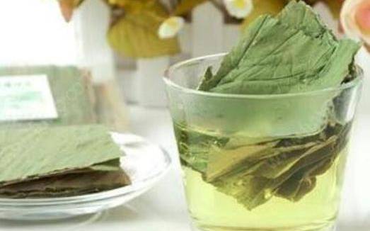 女性长期喝荷叶茶的危害 女性长期喝荷叶茶的危害