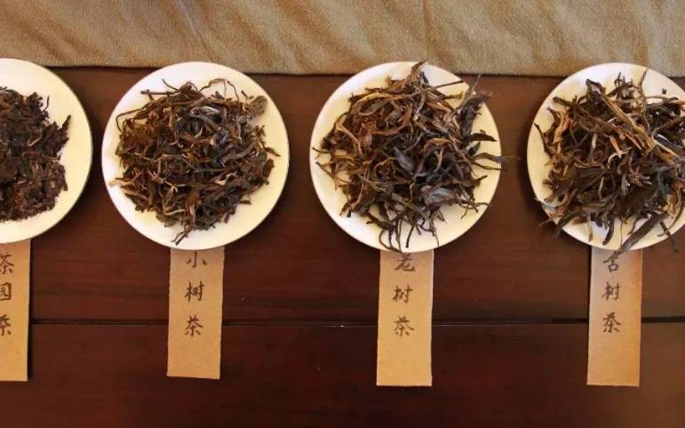 台地茶与古树茶的区别 台地茶与古树茶的区别