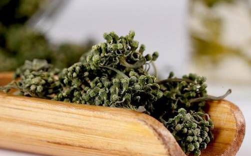 人参花茶的功效与作用及禁忌 人参花茶的功效与作用及禁忌