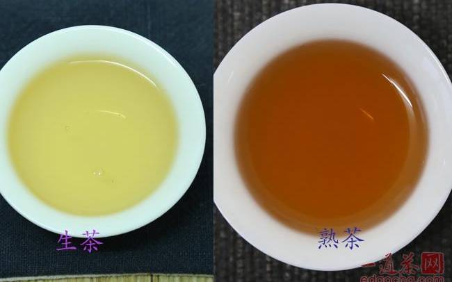 普洱生茶和熟茶 普洱生茶和熟茶