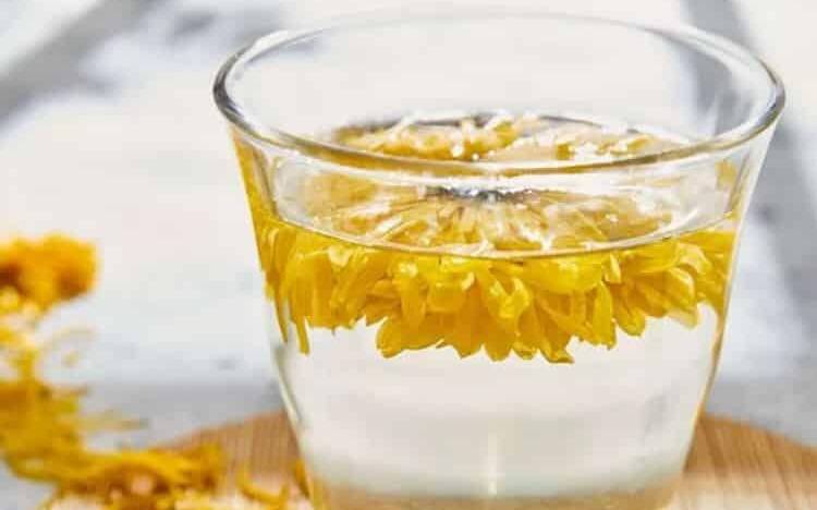 什么菊花泡茶最好 什么菊花泡茶最好
