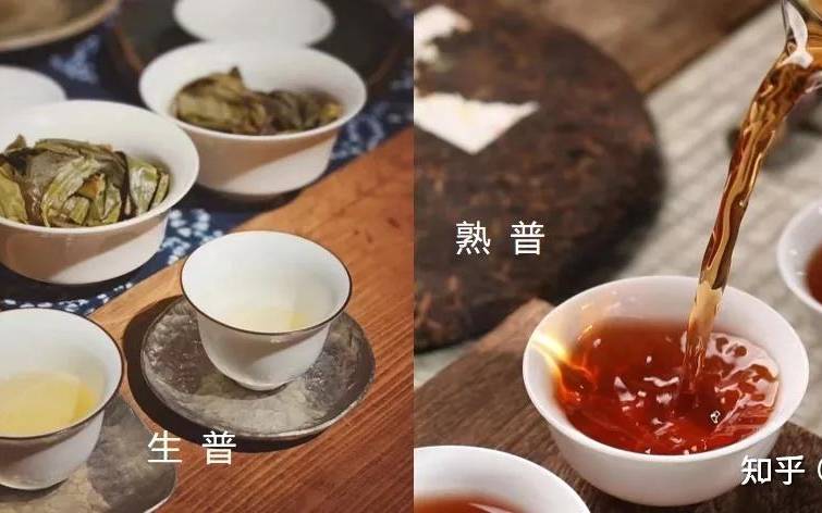 普洱茶是一种什么茶