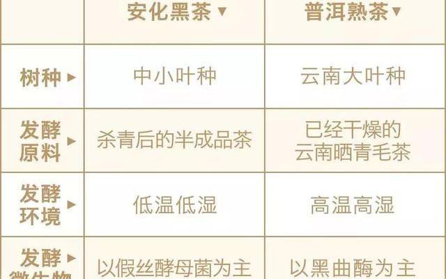 普洱属于六大茶类哪一种