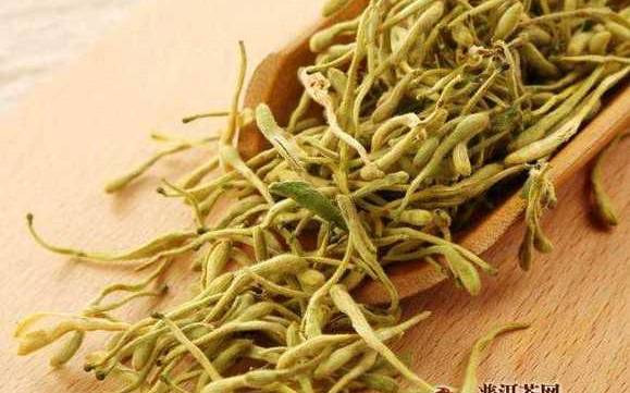 金银花茶的功效与作用 金银花茶的功效与作用