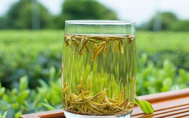 黄茶价格多少钱一斤 黄茶价格多少钱一斤
