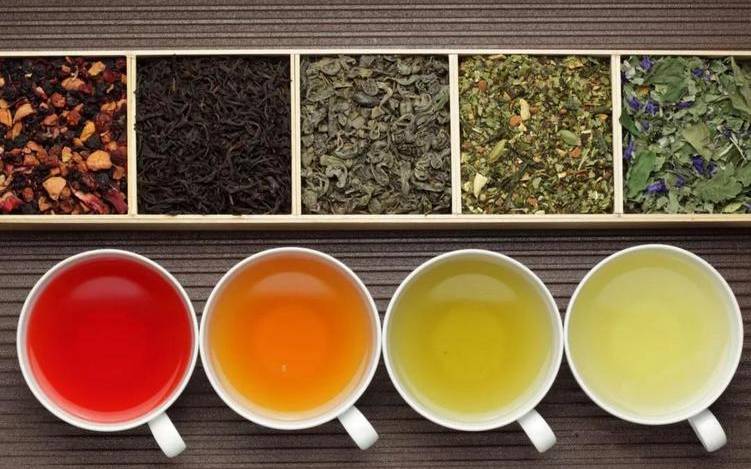 老白茶属于红茶还是绿茶 老白茶属于红茶还是绿茶