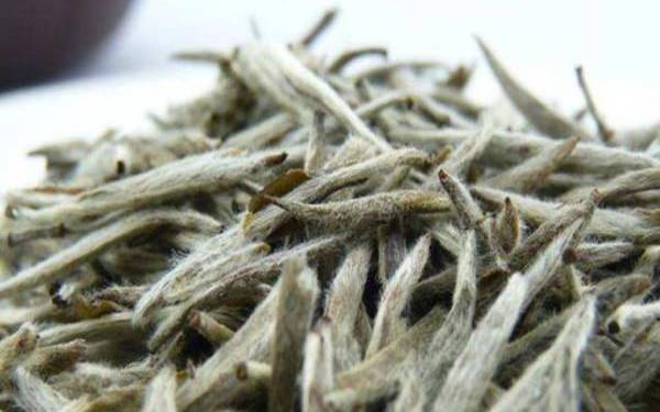 白茶是凉性还是热性 白茶是凉性还是热性