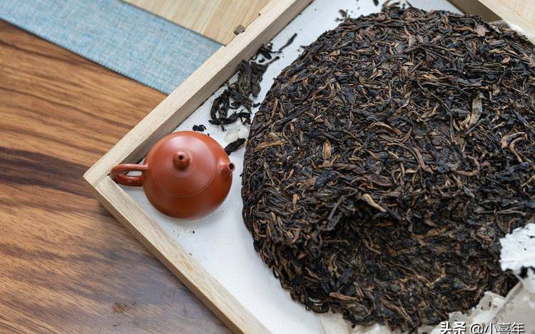 普洱茶属于什么茶
