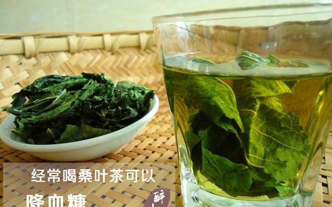 桑叶茶不适合什么人喝 桑叶茶不适合什么人喝
