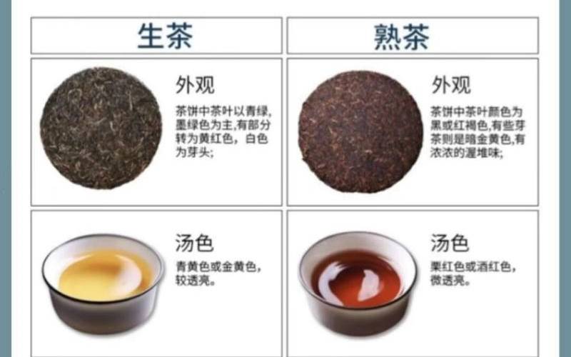 普洱生茶熟茶区别
