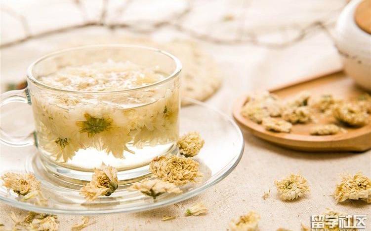 白菊花茶的功效与作用 白菊花茶的功效与作用