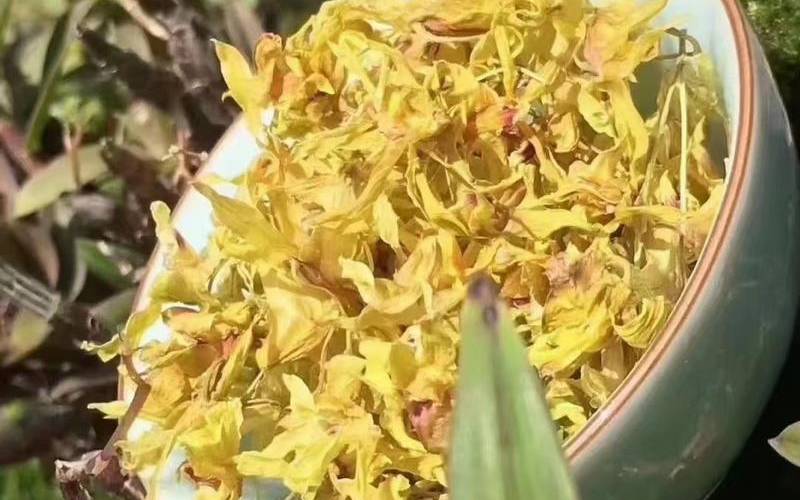 铁皮石斛花的功效与作用 铁皮石斛花的功效与作用