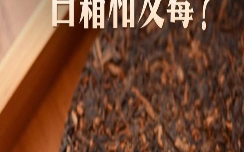 普洱茶保存如何防虫防潮（普洱茶发霉了怎么处理）