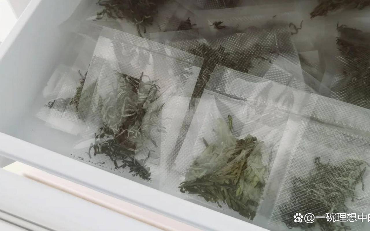 茶叶放冷冻可以吗,茶叶可以冰冻储藏吗 茶叶放冷冻可以吗,茶叶可以冰冻储藏吗